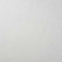 Обои Артекс Элеганс 10917-01 Винил на флизелине (1,06*10,05) Белый, Штукатурка — фото 1, Обои для стен