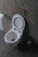 Товар: Унитаз биде Allen Brau Fantasy 4.11HC1.20 подвесной Белый без сиденья - фото 7 Унитаз биде Allen Brau Fantasy 4.11HC1.20 подвесной Белый без сиденья — фото 7, Унитазы