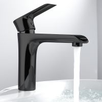 Смеситель для раковины Vincea Esse Черный матовый арт-VBF-1E1MB — фото 2, Смесители для раковины