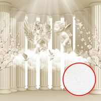 Фреска Ortograf 3D 6698 Фактура бархат FX Флизелин (2,7*2,7) Бежевый, Ангелы/Архитектура/Цветы арт-6698 (бархат FX) — фото 1, Фрески