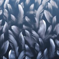 Товар: Фреска Ortograf Levity 33365 Фактура бархат FX Флизелин (2,7*2,7) Синий, Перья - фото 2 Фреска Ortograf Levity 33365 Фактура бархат FX Флизелин (2,7*2,7) Синий, Перья — фото 2, Фрески