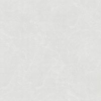 Обои Bernardo Bartalucci Carnazza 5060-6 Флизелин (1,06*10) Серый, Штукатурка — фото 1, Обои для стен