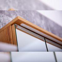 Зеркальный шкаф Бриклаер Форест 80 с подсветкой Дуб золотой Антрацит арт-4627125414718 — фото 3, Зеркальные шкафы в ванную