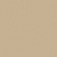 Обои LOYMINA Shade 2 SDR1 002/4 Винил на флизелине (1*10,05) Бежевый, Однотонные — фото 1, Обои для стен