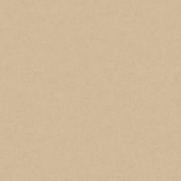 Обои AS Creation Accent 36890-5 Винил на флизелине (1,06*10,05) Бежевый, Штукатурка — фото 1, Обои для стен