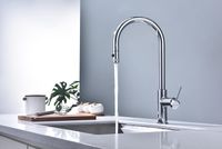 Товар: Смеситель для кухни Paulmark Galant Ga213077-CR Хром - фото 4 Смеситель для кухни Paulmark Galant Ga213077-CR Хром — фото 4, Смесители для кухни