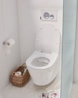 Унитаз Jacob Delafon Bastille EDAB102-00 подвесной без сиденья — фото 9, Подвесные унитазы