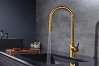 Товар: Смеситель для кухни Paulmark Universal Un213880-BG Брашированное золото - фото 5 Смеситель для кухни Paulmark Universal Un213880-BG Брашированное золото — фото 5, Смесители для кухни