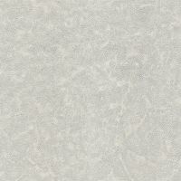 Товар: Обои Emiliana Parati Materica 2 73129 Винил на флизелине (1,06*10,05) Серый/Серебряный, Штукатурка - фото 1 Обои Emiliana Parati Materica 2 73129 Винил на флизелине (1,06*10,05) Серый/Серебряный, Штукатурка — фото 1, Обои для стен