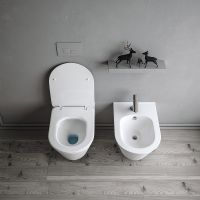 Унитаз биде Boheme Avva 972-2-MW подвесной Белый матовый без сиденья — фото 3, Унитазы