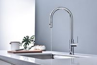 Товар: Смеситель для кухни Paulmark Galant Ga213077-CR Хром - фото 3 Смеситель для кухни Paulmark Galant Ga213077-CR Хром — фото 3, Смесители для кухни