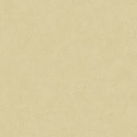 Обои Bernardo Bartalucci Carnazza 5063-4 Флизелин (1,06*10) Бежевый, Штукатурка — фото 1, Обои для стен