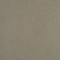 Обои Bernardo Bartalucci Legend 5068-6 Флизелин (1,06*10) Серый, Однотонные — фото 1, Обои для стен