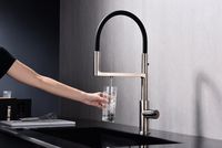 Товар: Смеситель для кухни Paulmark Tornado Никель арт-To213402-NI - фото 5 Смеситель для кухни Paulmark Tornado Никель арт-To213402-NI — фото 5, Смесители для кухни