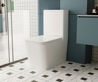 Унитаз компакт Abber Rechteck Белый с бачком и сиденьем Микролифт арт-AC1210 — фото 7, Напольные унитазы