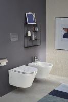 Клавиша смыва Jacob Delafon Хром глянцевый арт-E20858-CP — фото 2, Кнопки смыва