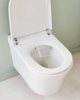 Товар: Комплект унитаза биде с инсталляцией Jacob Delafon Seine E34360-00 с сиденьем Микролифт и Белой глянцевой клавишей смыва - фото 20 Комплект унитаза биде с инсталляцией Jacob Delafon Seine E34360-00 с сиденьем Микролифт и Белой глянцевой клавишей смыва — фото 20, Умные унитазы