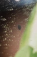 Зеркало Silver Mirrors Монако Black 100 LED-00002769 с подсветкой с бесконтактным выключателем — фото 5, Зеркала в ванную комнату