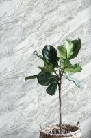 Обои Wiganford by Solo Lunman ER16011 Винил на флизелине (1,06*10,05) Бежевый, Мрамор — фото 2, Обои для стен