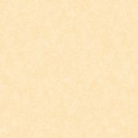 Обои LOYMINA Shade SD3 102/1 Винил на флизелине (1*10,05) Желтый, Штукатурка — фото 1, Обои для стен