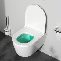 Унитаз AM.PM Func подвесной с сиденьем Микролифт арт-C8F1700SC — фото 2, Подвесные унитазы