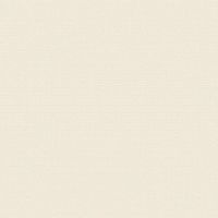 Обои Bernardo Bartalucci Medici 84204-3 Винил на флизелине (1,06*10,05) Бежевый, Однотонные — фото 1, Обои для стен