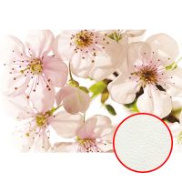 Фреска Ortograf Цветы 3440 Фактура флок FLK Флизелин (4*2,7) Белый/Розовый/Зеленый, Цветы — фото 1, Фрески