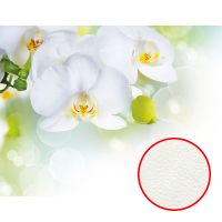 Фреска Ortograf Цветы 3611 Фактура флок FLK Флизелин (2,6*2) Белый/Зеленый, Цветы — фото 1, Фрески