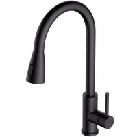 Смеситель для кухни Alveus Primrose PS 1148265 Черный матовый — фото 1, Смесители для кухни