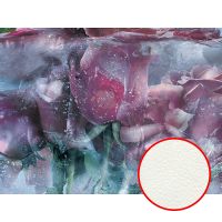 Фреска Ortograf Flower Dreams 31663 Фактура флок FLK Флизелин (3,6*2,7) Розовый/Голубой, Цветы — фото 1, Фрески