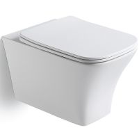 Унитаз Black&White Universe 723W00 подвесной сиденьем Микролифт — фото 1, Унитазы