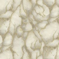 Обои Emiliana Parati Valentin Yudashkin 5 86031 Винил на флизелине (1,06*10,05) Бежевый/Золото/Серый, Мрамор — фото 1, Обои для стен