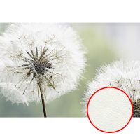 Фреска Ortograf Цветы 3188 Фактура флок FLK Флизелин (4*2,7) Белый/Зеленый, Цветы — фото 1, Фрески