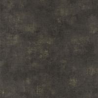 Товар: Обои Caselio Telas 2 102079099 Винил на флизелине (0,53*10,05) Серый, Штукатурка - фото 1 Обои Caselio Telas 2 102079099 Винил на флизелине (0,53*10,05) Серый, Штукатурка — фото 1, Обои для стен