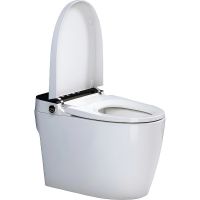 Товар: Унитаз биде SantiLine SL-5034 приставной с сиденьем Микролифт - фото 5 Унитаз биде SantiLine SL-5034 приставной с сиденьем Микролифт — фото 5, Унитазы