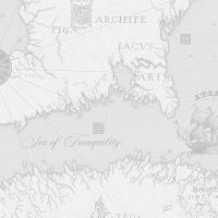 Обои Solo Geo SL8838-21 Винил на флизелине (1,06*10) Серый, Карты — фото 1, Обои для стен