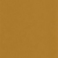 Обои Caselio Flower Power 64522029 Винил на флизелине (0,53*10,05) Оранжевый, Однотонные — фото 1, Обои для стен