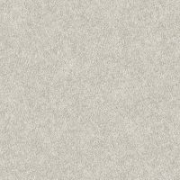 Обои Alessandro Allori Four Seasons 1607-2 Винил на флизелине (1,06*10) Серый, Штукатурка — фото 1, Обои для стен