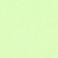 Обои детские AS Creation Little Stars 35834-3 Винил на флизелине (0,53*10,05) Зеленый, Однотонные — фото 1, Обои для стен