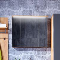 Зеркальный шкаф Бриклаер Форест 80 4627125414718 с подсветкой Дуб золотой Антрацит — фото 1, Зеркальные шкафы в ванную