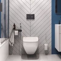 Унитаз AM.PM Inspire V2.0 FlashClean CK50H0603W подвесной с гигиеническим душем и ершиком с сиденьем Микролифт — фото 2, Подвесные унитазы