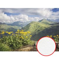 Товар: Фреска Ortograf Горы 5393 Фактура бархат FX Флизелин (3*2,2) Зеленый/Голубой/Желтый, Горы/Пейзаж/Природа - фото 1 Фреска Ortograf Горы 5393 Фактура бархат FX Флизелин (3*2,2) Зеленый/Голубой/Желтый, Горы/Пейзаж/Природа — фото 1, Фрески