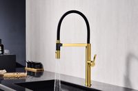 Смеситель для кухни Paulmark Leader Le214101-BG Брашированное золото — фото 6, Смесители для кухни