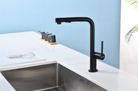 Смеситель для кухни Paulmark Neo Ne214419-401 Антрацит — фото 7, Смесители для кухни