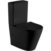 Унитаз компакт WeltWasser Salzbach 001 MT-BL 10000003765 Черный матовый с бачком и сиденьем Микролифт — фото 1, Напольные унитазы