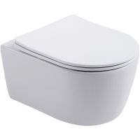 Унитаз Aquanet Smart W Rimless 276395 подвесной с сиденьем Микролифт — фото 1, Подвесные унитазы