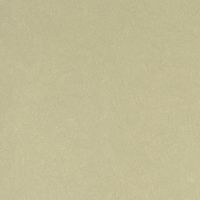 Товар: Обои Bernardo Bartalucci Legend 5068-52 Флизелин (1,06*10) Зеленый, Однотонные - фото 1 Обои Bernardo Bartalucci Legend 5068-52 Флизелин (1,06*10) Зеленый, Однотонные — фото 1, Обои для стен