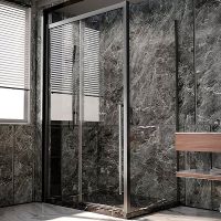 Душевая стенка Veconi Premium Trento SP-30GR 80 SP30-GR-80-01-C4 профиль Брашированный графит стекло прозрачное — фото 2, Боковые стенки