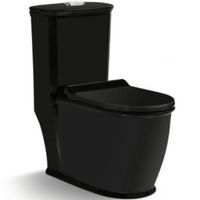 Унитаз компакт SantiLine SL-5019MB с сиденьем Микролифт — фото 1, Напольные унитазы