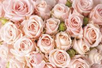 Товар: Фреска Ortograf Цветы 5383 Фактура флок FLK Флизелин (4*2,7) Розовый, Цветы - фото 2 Фреска Ortograf Цветы 5383 Фактура флок FLK Флизелин (4*2,7) Розовый, Цветы — фото 2, Фрески